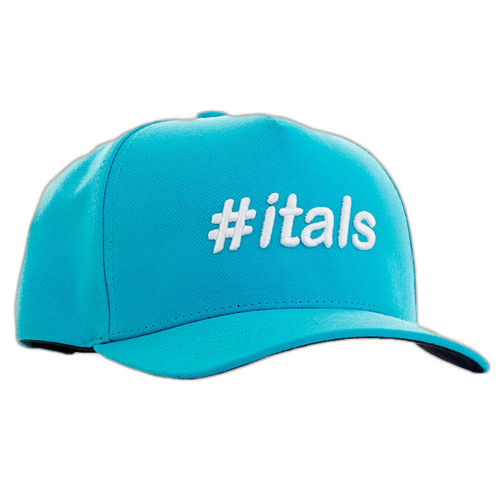 Boné Itals All-Stars Charlotte Hornets