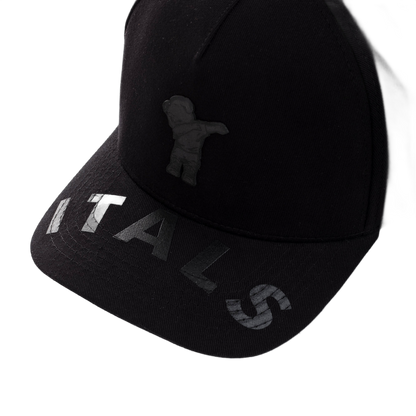 Boné itals Ursinho Dark