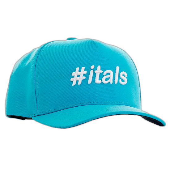 Boné Itals All-Stars Charlotte Hornets